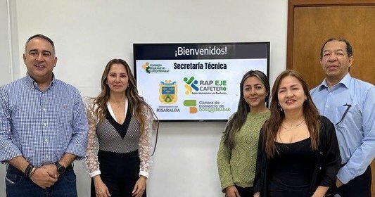 Secretaría Técnica, Comité Ejecutivo y Asamblea